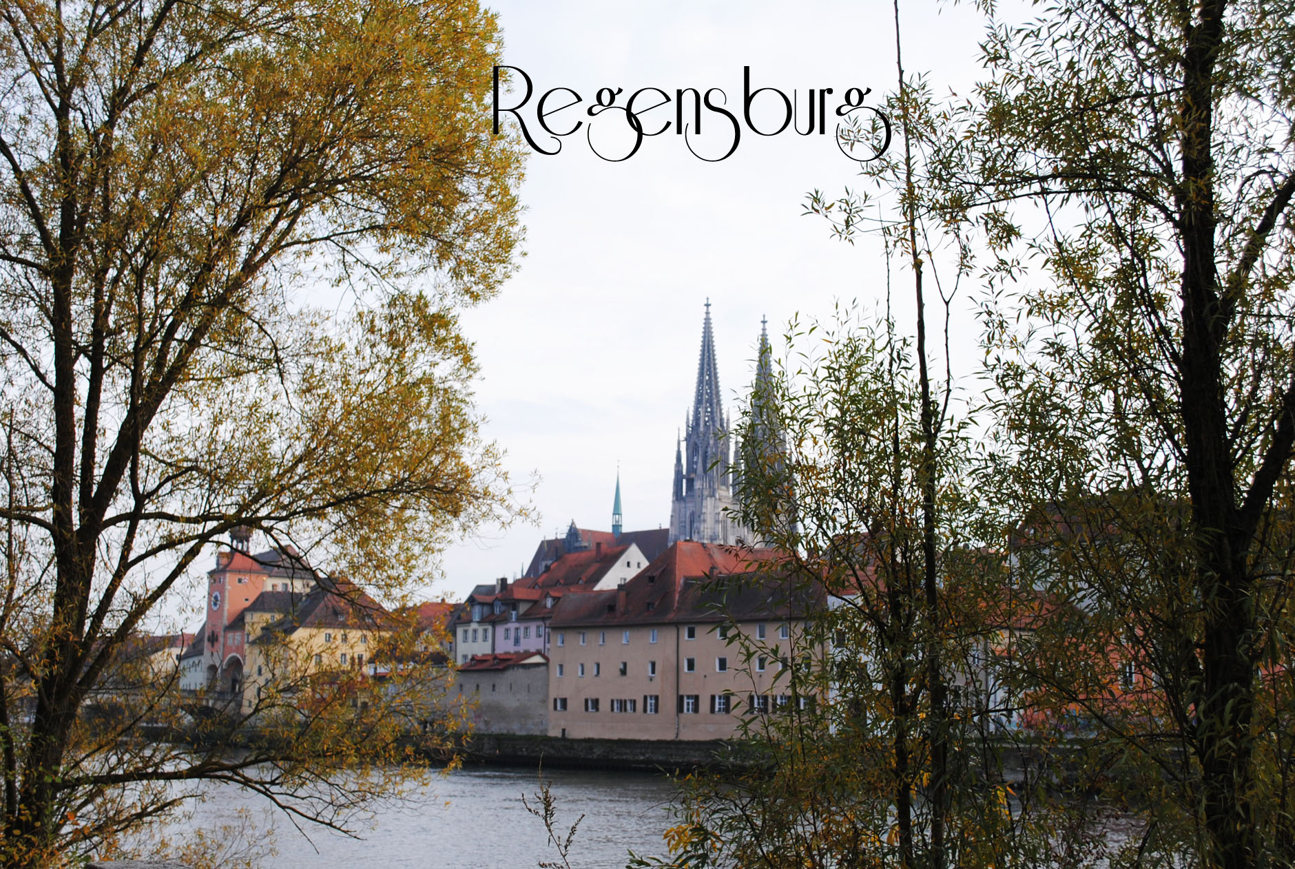 RegensburgTreesCityFabric1Riesling